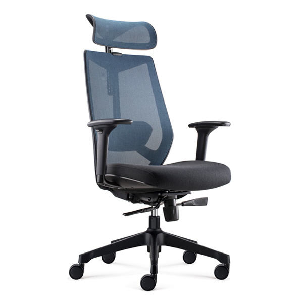 Ignite Ergonomic Task chair with Headrest-D00253H-BLB